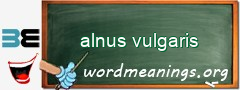 WordMeaning blackboard for alnus vulgaris